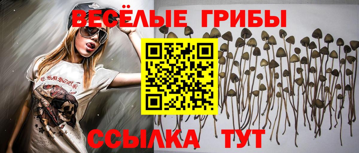 Галлюциногенные грибы MAGIC MUSHROOMS Зеленогорск