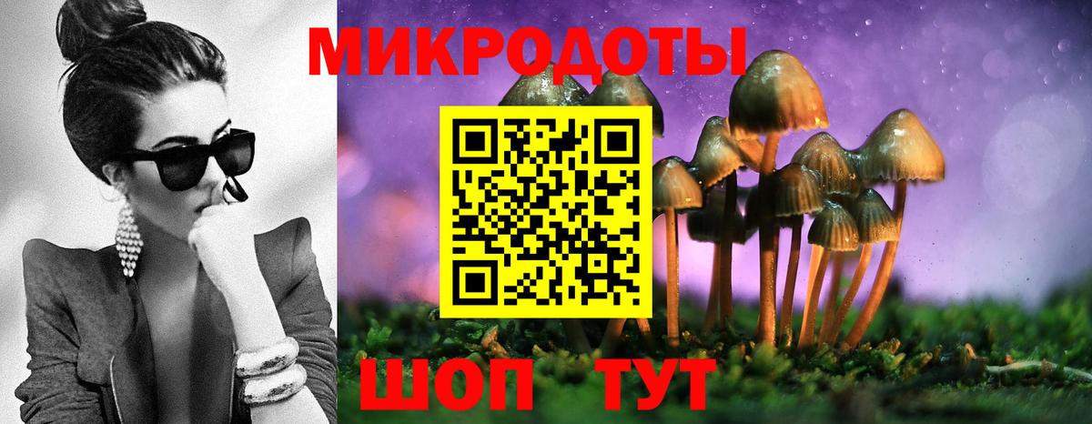 Псилоцибиновые грибы прущие грибы  Вход с VPN  Зеленогорск  Псилоцибиновые грибы мицелий 