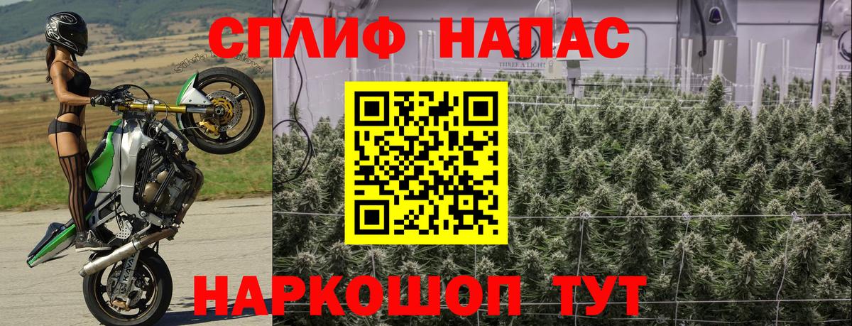 Зеленогорск  Канабис Amnesia  Марихуана марихуана  Канабис семена  Вход с VPN 